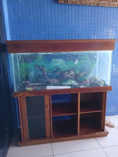 Aquario