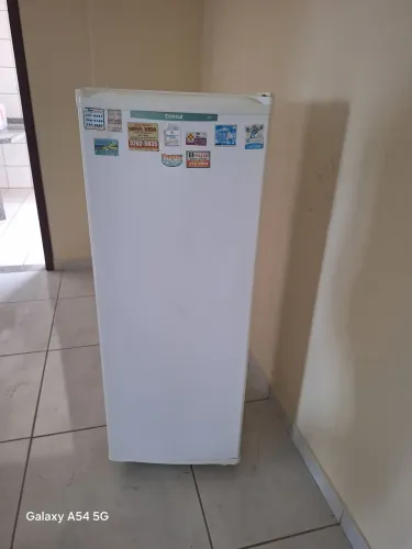 Freezer vertical
