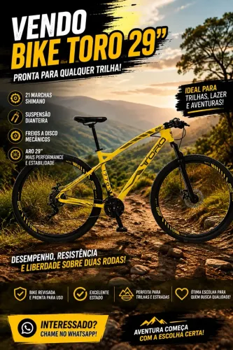 Bike ToRo