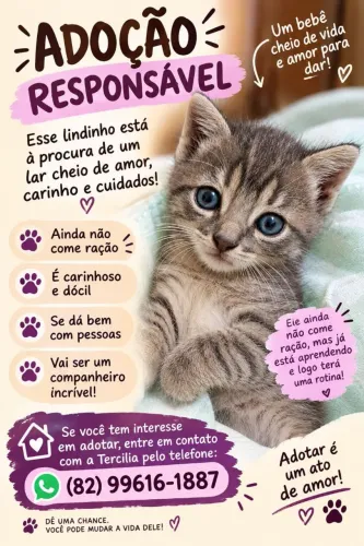 Adoção