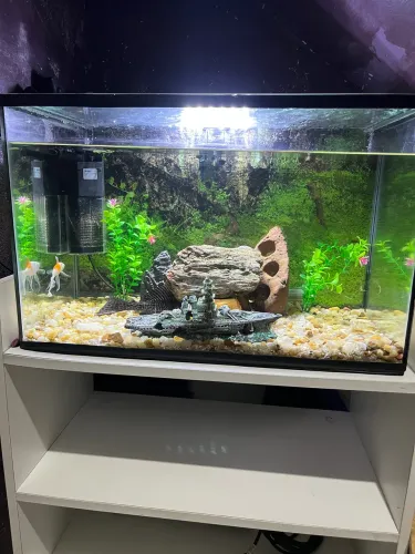 Aquário 55 litros Completo