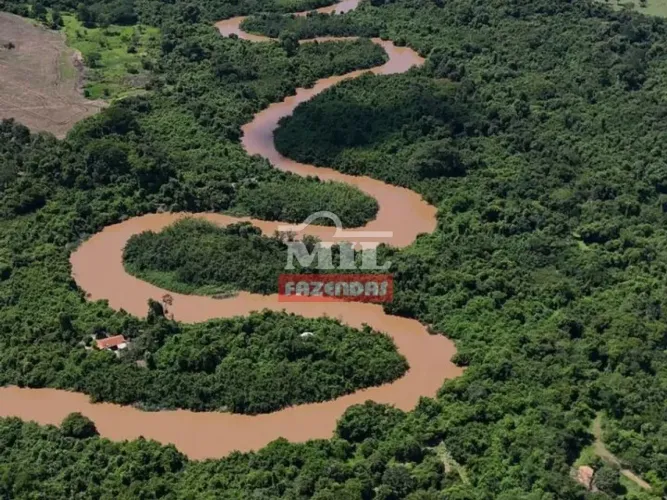 Fazenda 30 alqueires (145, 2 hectares) Guapo - GO