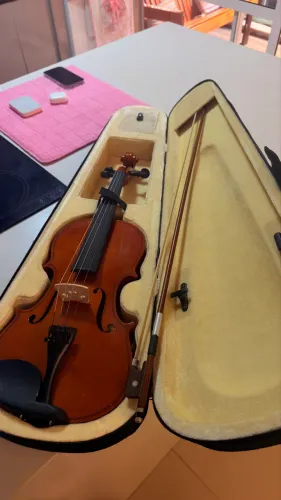 Violino