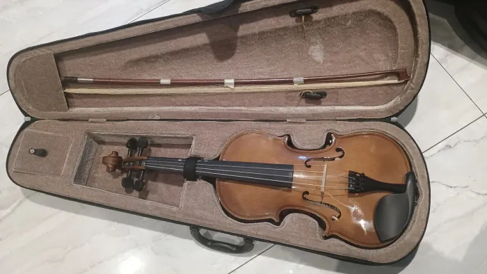 Violino dominate
