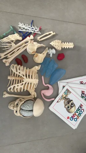 Boneco corpo humano salvat