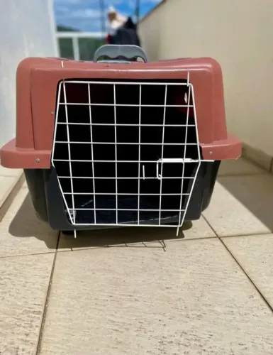 Vendo transporte de cachorro número 4
