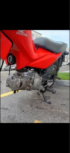 Honda pop 2022