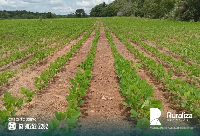 FAZENDA 169 ALQUEIRES | 320 HA PLANTANDO | 470 HA AGRICULTÁVEIS Título Premium