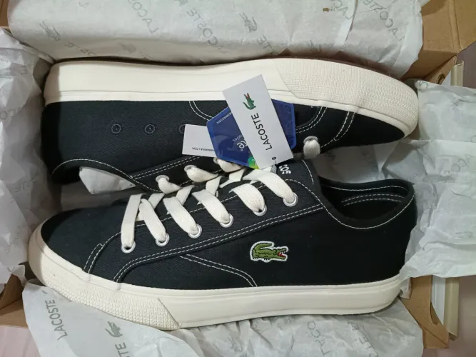 Tênis Lacoste original novos na caixa. (250 cada)