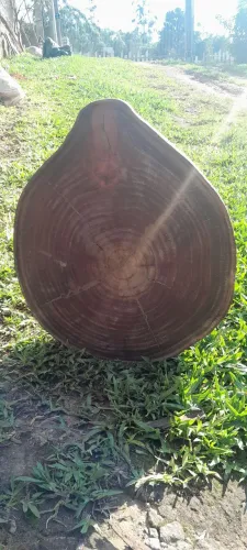 Tábua para churrasco