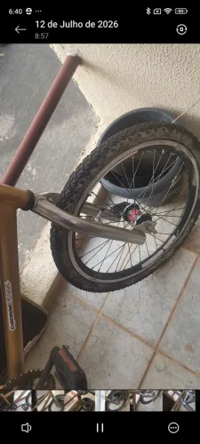 bmx ultra dourado 