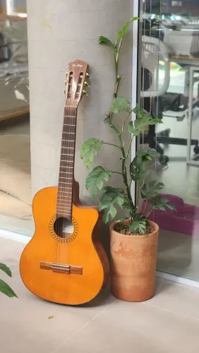 Violão Di Giorgio Talent 1 - 2013