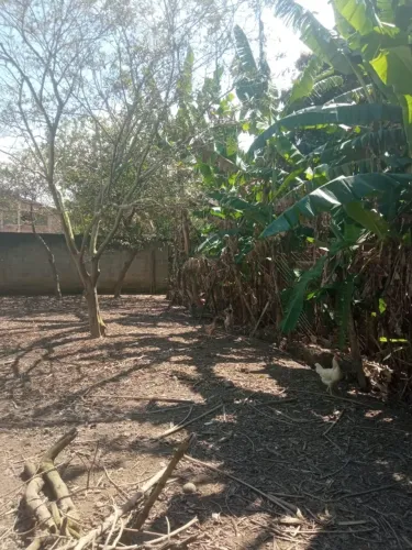 Vendo 2 LOTES em Balneário Ponta Da Fruta a 5 minutos da Rodovia do Sol