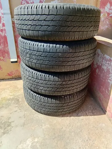 Pineus para venda
