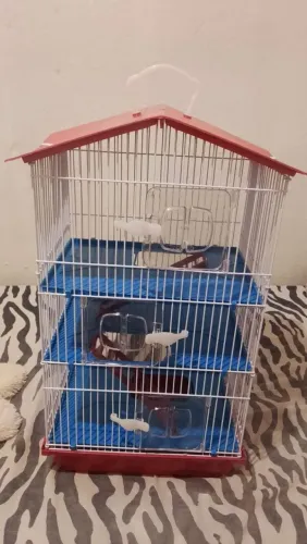 Casinha de rato/ hamster 