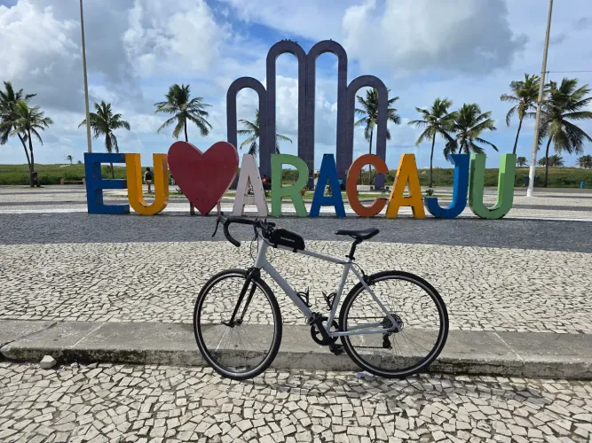 Bicicleta Speed