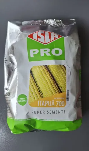 Semente de Milho Híbrido Itapuã 1kg - Alta Produtividade | Isla Pro