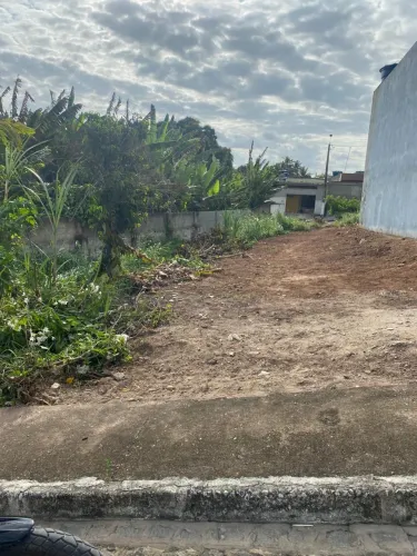 Terreno em carpina