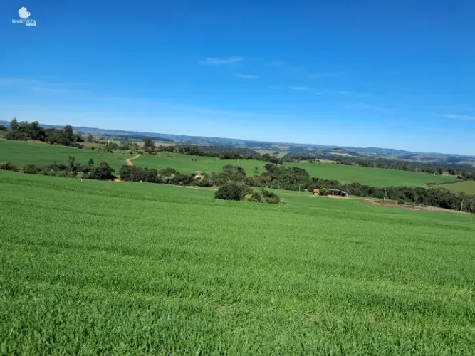 32 Alqueires com 25 de lavouras terreno plano bonito e super produtivo