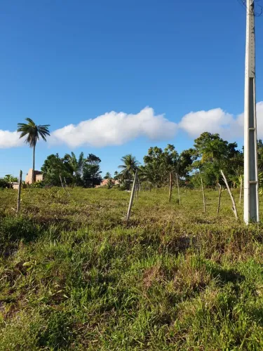 Terreno