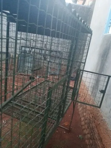 Gaiola pra criação