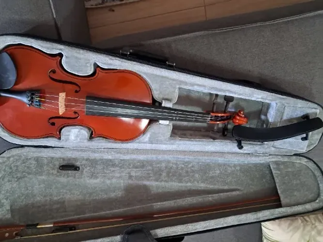 Violino vogg