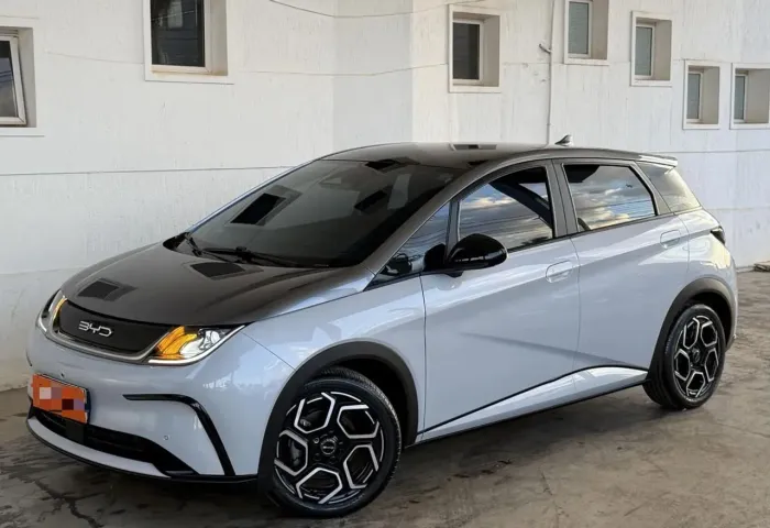 BYD Dolphin Plus (Elétrico) 2024
