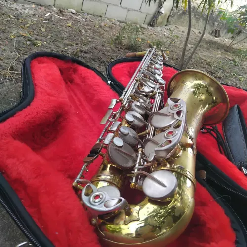 Sax Alto Weril Master.