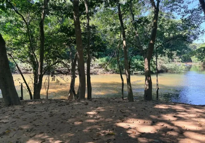 Terreno brisas campestre