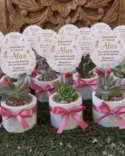 Planta suculenta para lembrancinhas