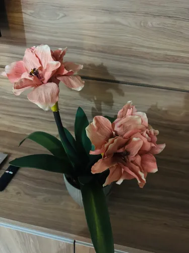 Vaso de flor