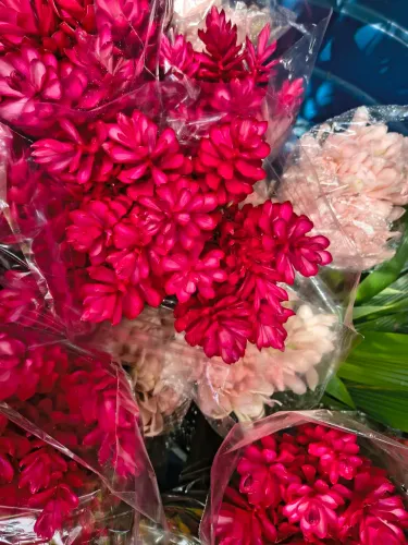 Flores tropicais
