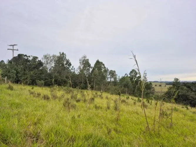 Linda área de 4.550m2, alta, 1km da 040, KM18, excelente para moradia