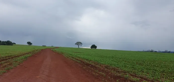 Fazenda a venda em Jaraguá - Goiás!!!