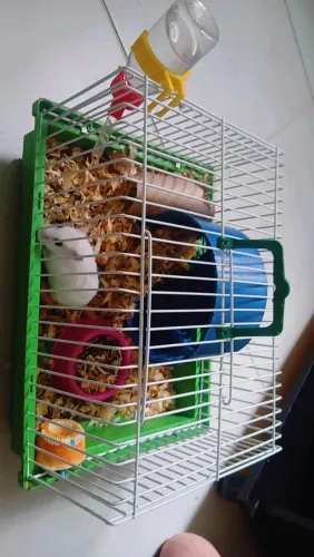 Vendo Ramister