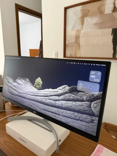 Monitor Gamer 29 LG