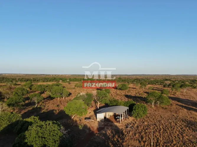 Fazenda 240 Alqueires (1.162 Hectares) Sandolândia - TO