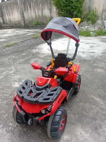 Carro de passeio triciclo com Capota até 25 kg 