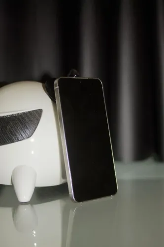 Samsung S24 256GB ? 1 ano de uso + Capinhas