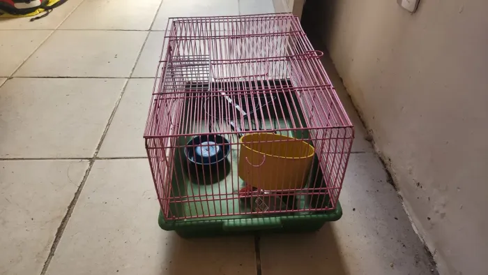 Gaiola para hamster ?