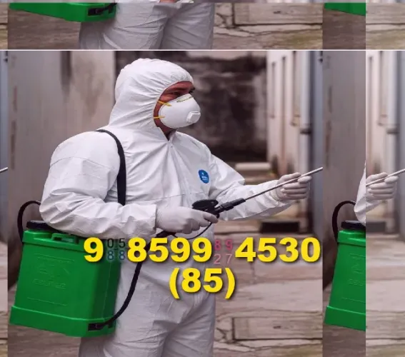 Dedetizacao contra pragas, ótimo preço!