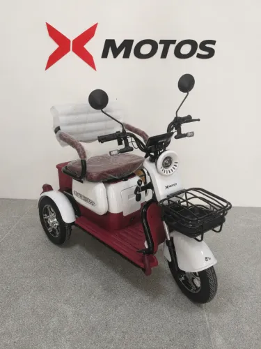 TRICICLO ELÉTRICO - BIG TRI (1000W)