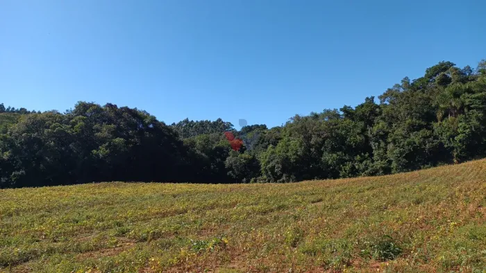 Chácara à Venda em Araucária Terreno de 23.480 m com Natureza e Fácil Acesso