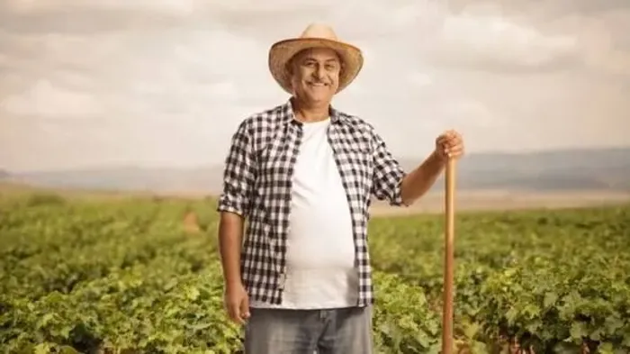 Vaga para fazenda agricultura em Carambeí