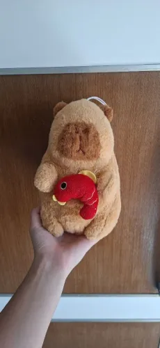 Pelúcia capivara com camarão<br>R$ 35,00 + envio ?<br>*Valor negociável!*<br>- 25 cm