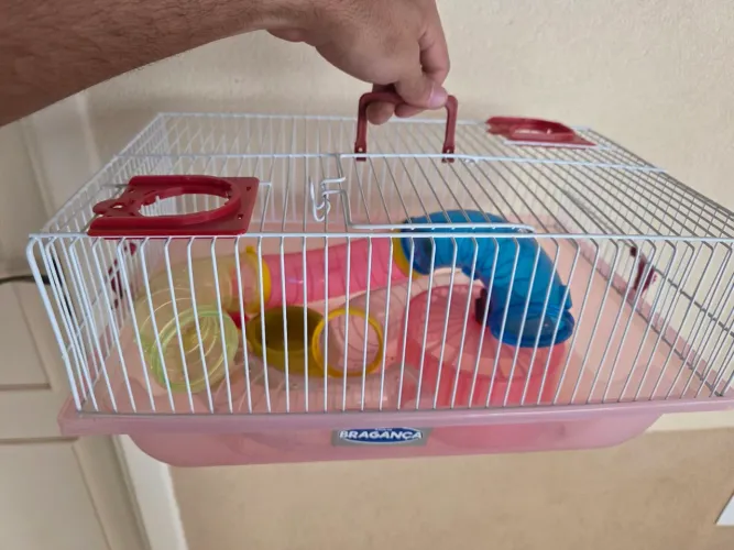 Gaiola hamster