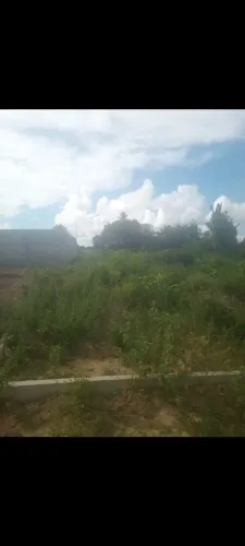 Lote Conceição do jacuipe 