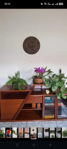 Rack madeira maciça