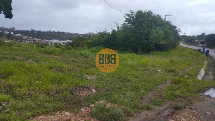Terreno em Chã Grande -Beira de Pista