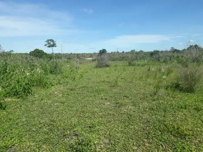 Fazenda com 240 hectares no córrego de São Mateus Município de boa saúde